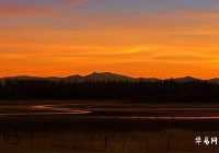 四两五男命详细解释一生（四两五男命财运与婚姻）