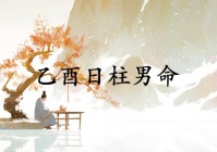 乙酉日柱男命运详解（乙酉日柱男命2021年运势）